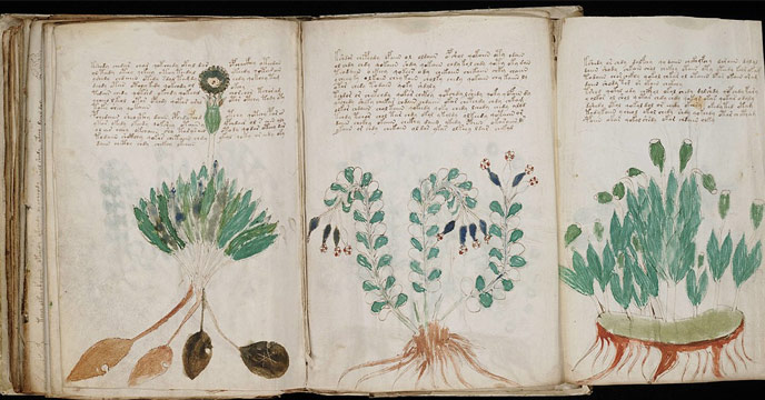 Mysterious Voynich Manuscript